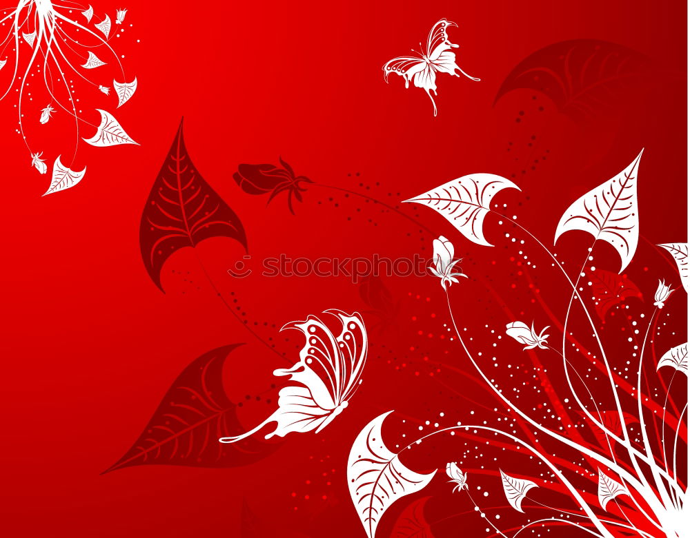 Similar – Image, Stock Photo Autumn leaves in back light