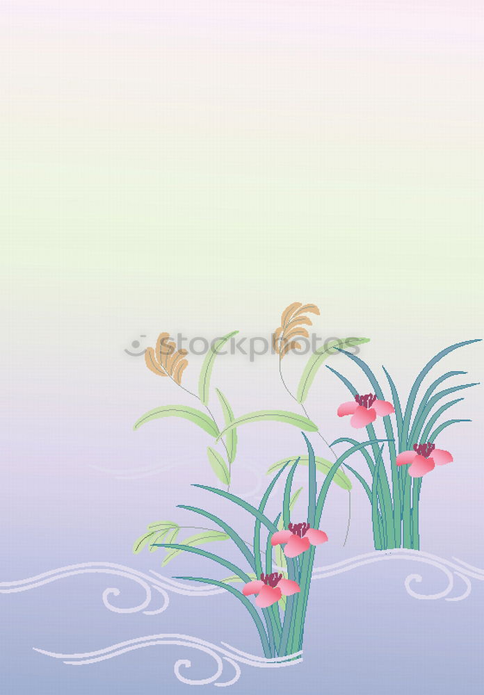 Similar – Tropical Summer Holiday Background