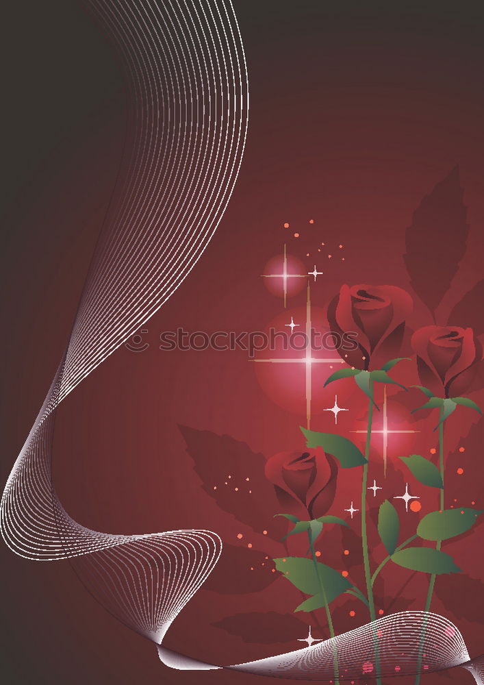 Image, Stock Photo roses Flower Rose