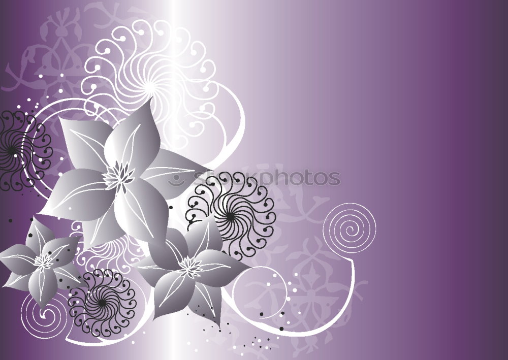 Similar – Image, Stock Photo fresh orchid 02 Style