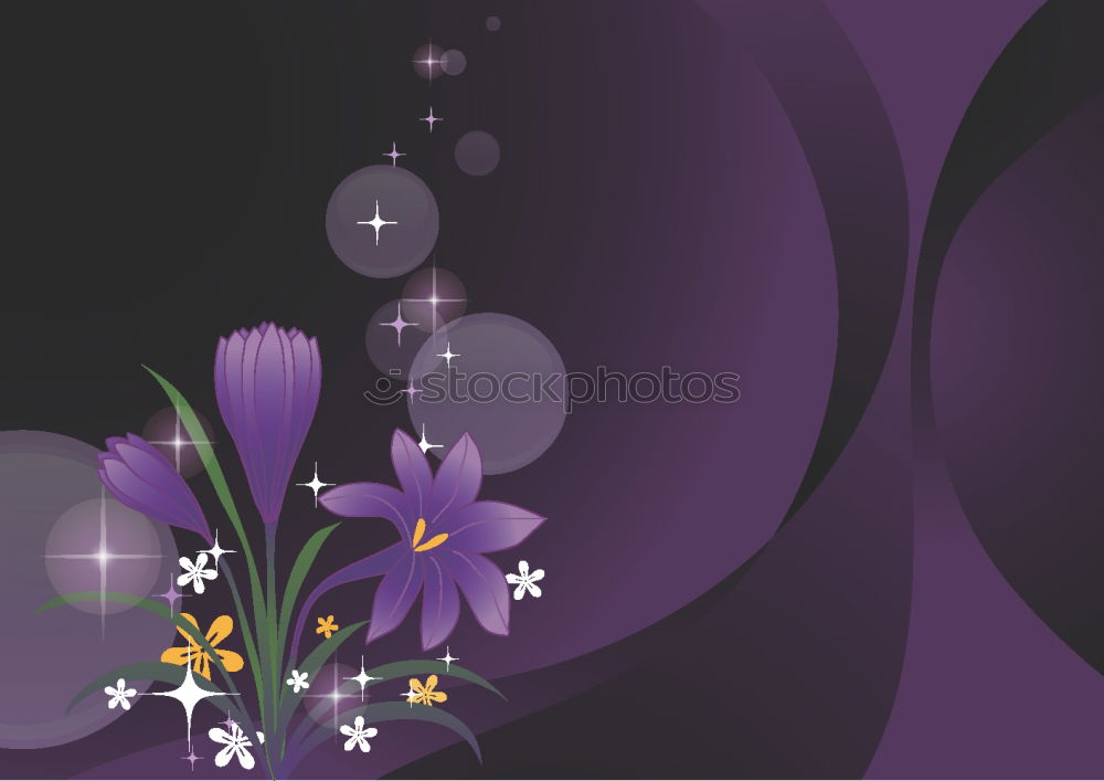 Similar – Image, Stock Photo Purple flowers Environment