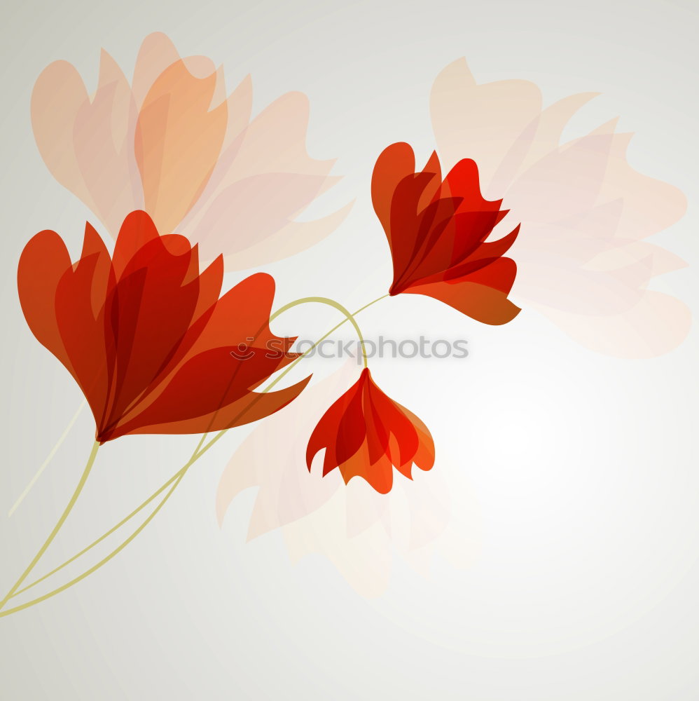 Similar – Image, Stock Photo a trio with only two heads