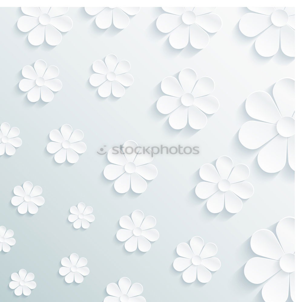 Similar – Image, Stock Photo White flowers background