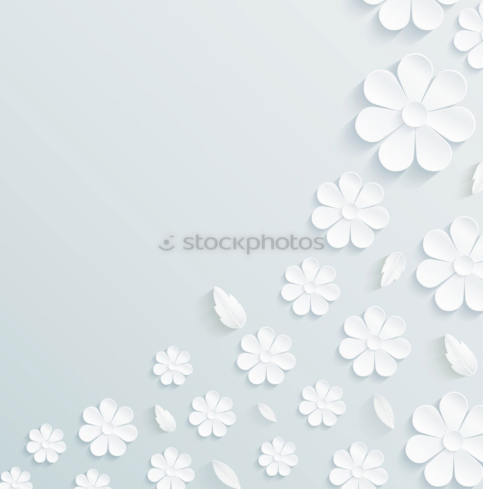 Similar – Image, Stock Photo White Still Life mock up with flowers and greeting card