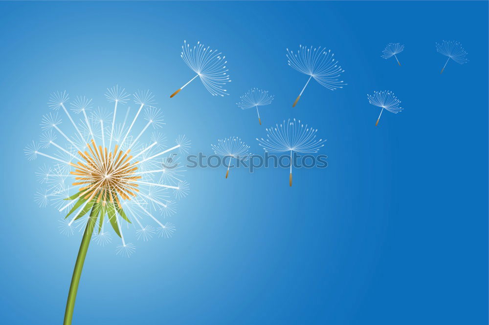 Similar – Image, Stock Photo Bellows! Dandelion Flower