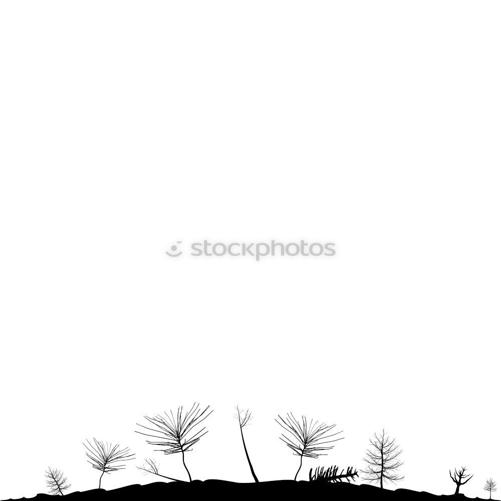 Similar – Image, Stock Photo Blocked sky Barbed wire