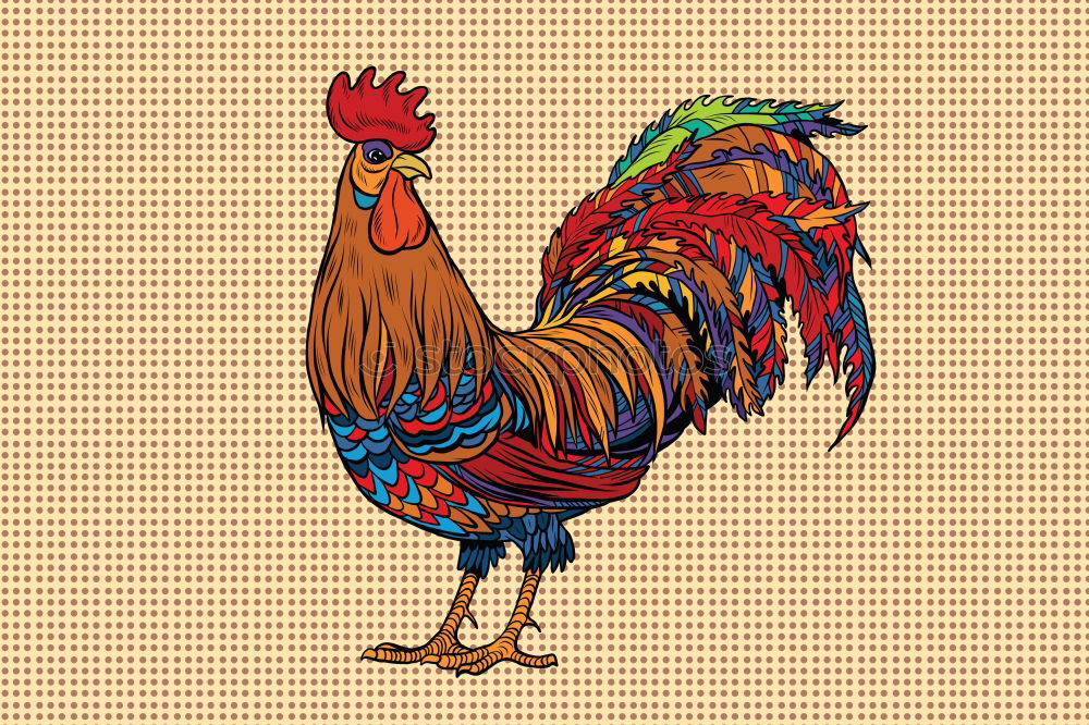 Similar – Image, Stock Photo portrait of colorful hen