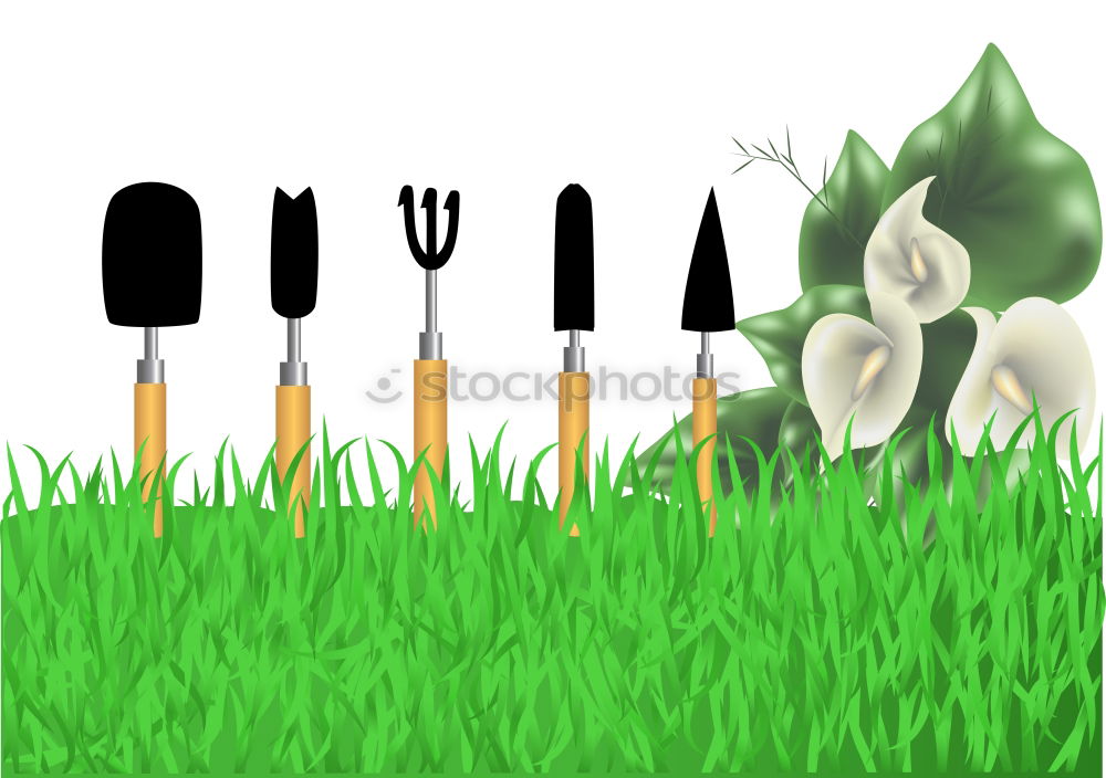 Similar – Image, Stock Photo garden tools on green lawn background.