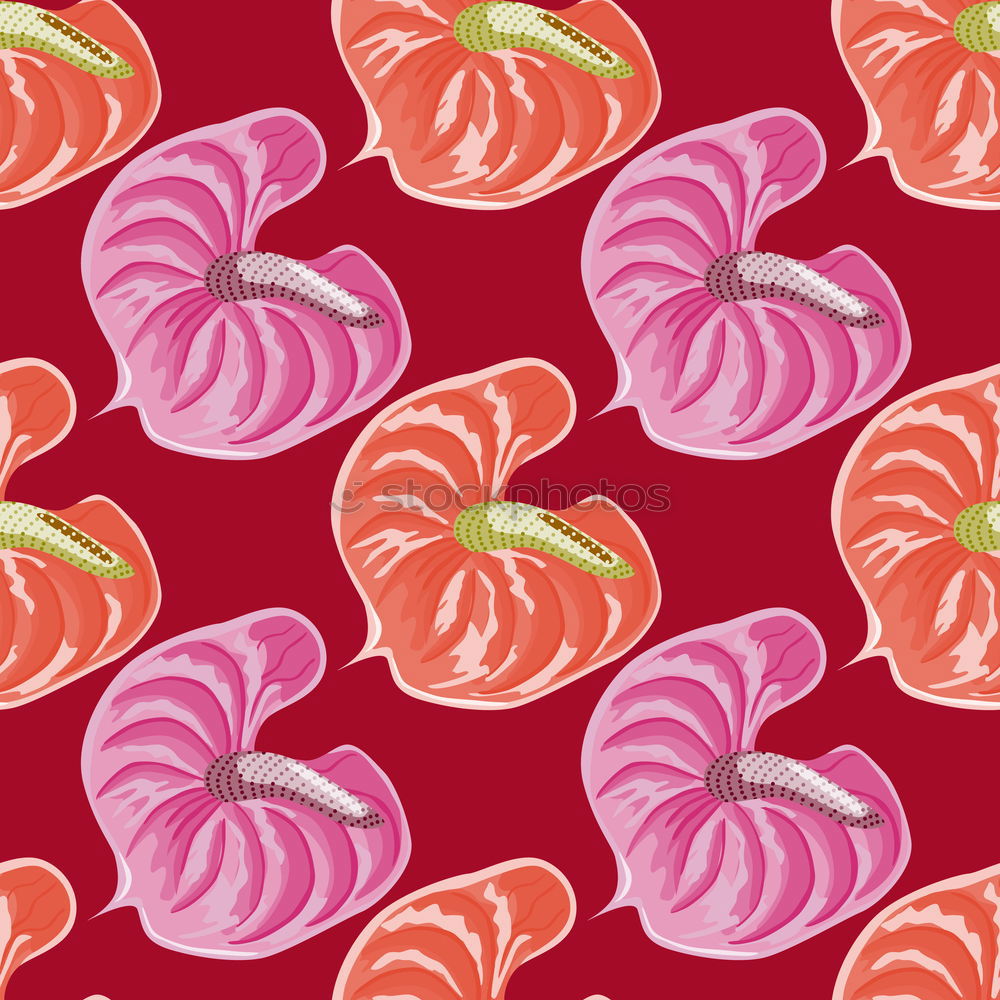 Similar – Pattern red watermelon on background. Flat lay, top view