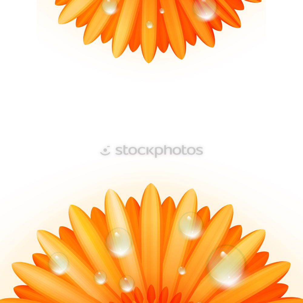 Similar – Image, Stock Photo A(rsch)apricot Apricot