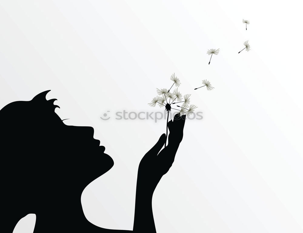 Similar – Blowing Dandelion Air