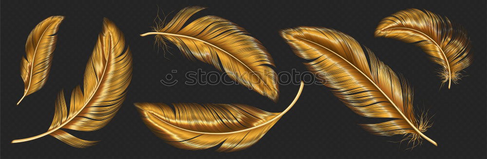 Similar – Image, Stock Photo hairband Braids Hairband