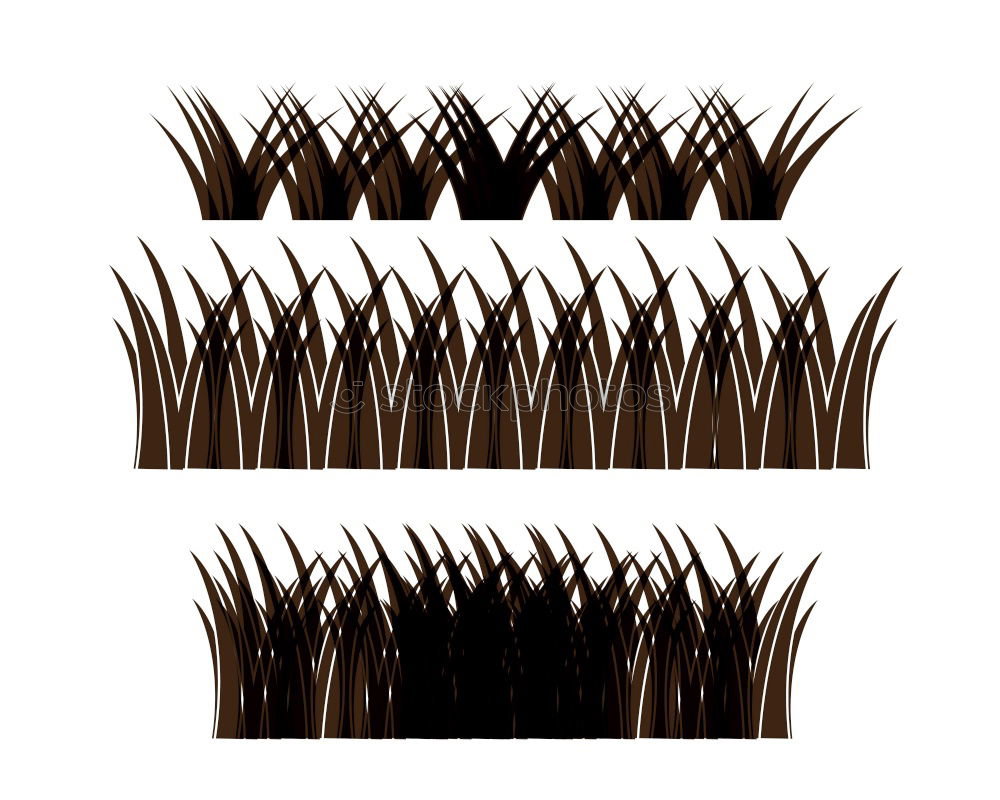 Brush2 Animal