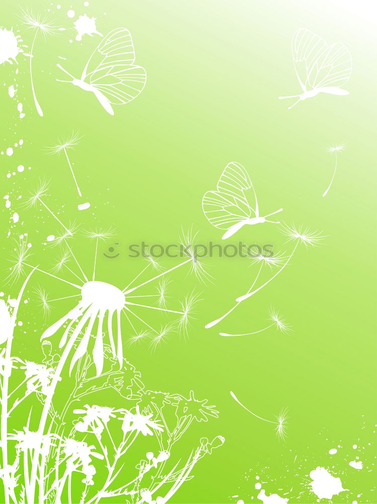 Similar – Image, Stock Photo Wild coot bird swimming on water