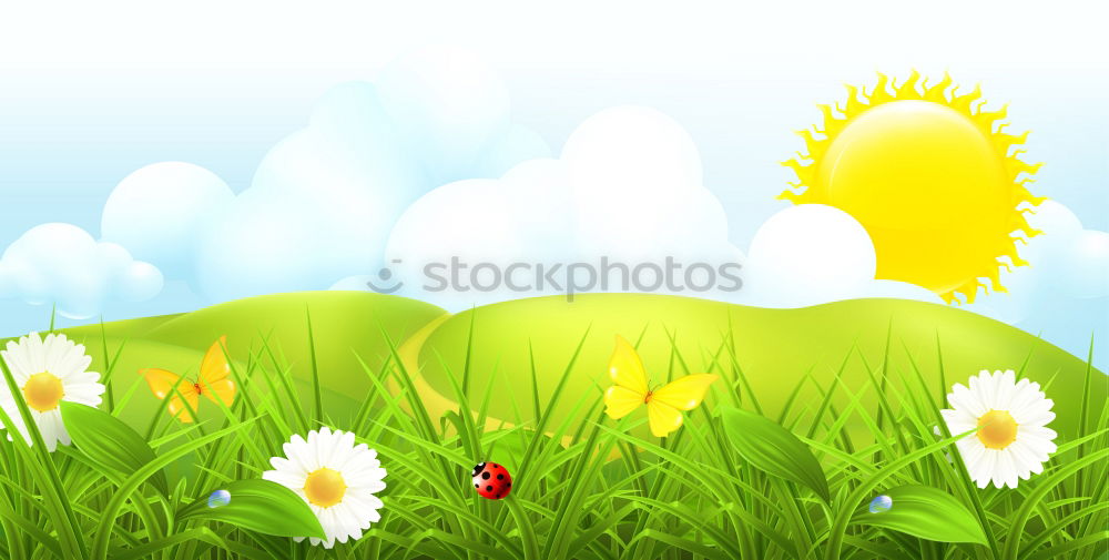 Similar – Spring nature background with wild hyacinths