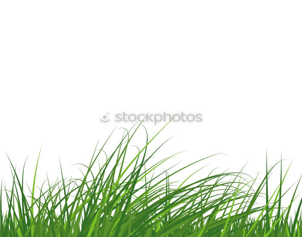 Similar – Grr. Grass Meadow