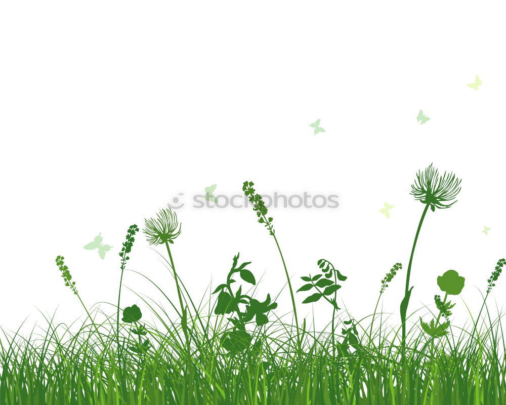 Similar – Foto Bild noch mehr Blumenwiese