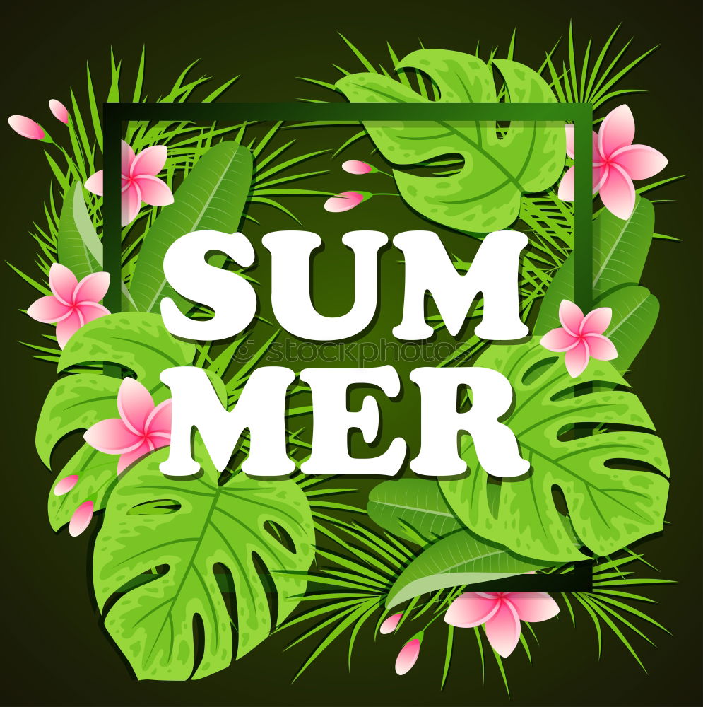 Similar – Da gehts lang! Sommer