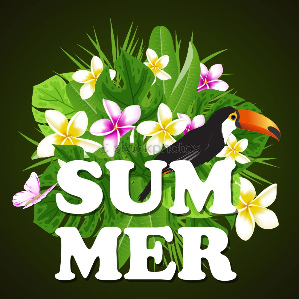 Similar – Da gehts lang! Sommer