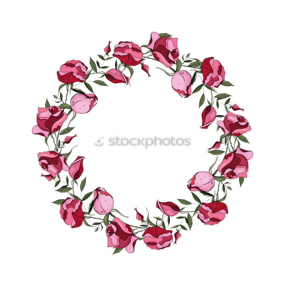 Similar – Flowers on a white background