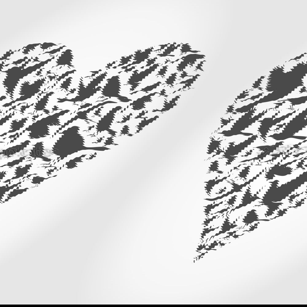 Similar – Image, Stock Photo Pink stencil graffiti with bird leaving a cage