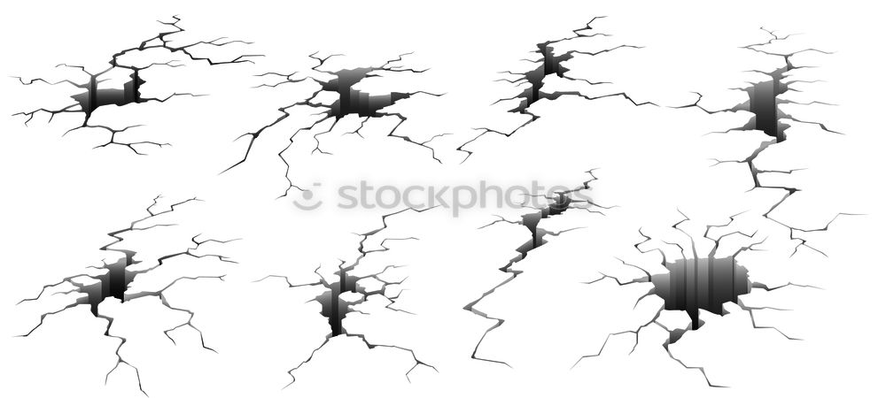 Similar – Geäst verzweigt Baum