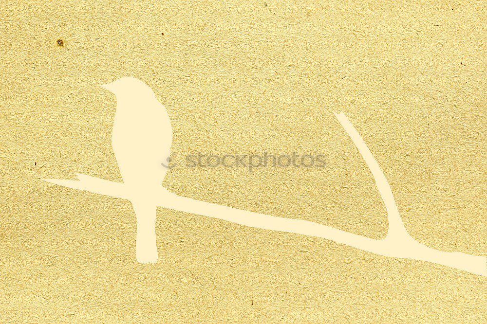 Similar – Image, Stock Photo birds flying high Art