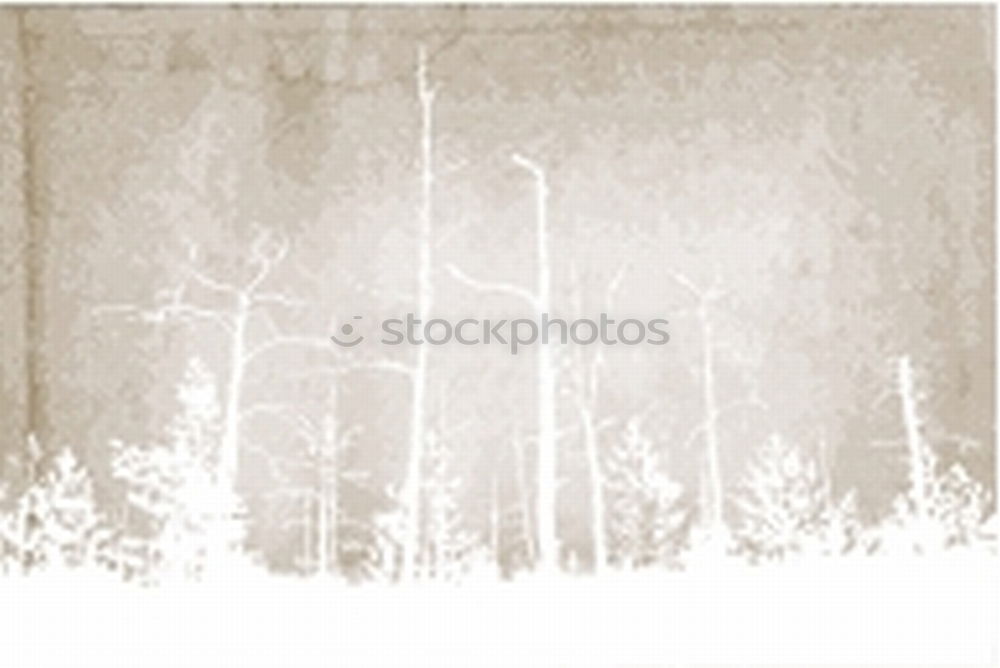 Similar – Image, Stock Photo Tourist standing in snowy forest