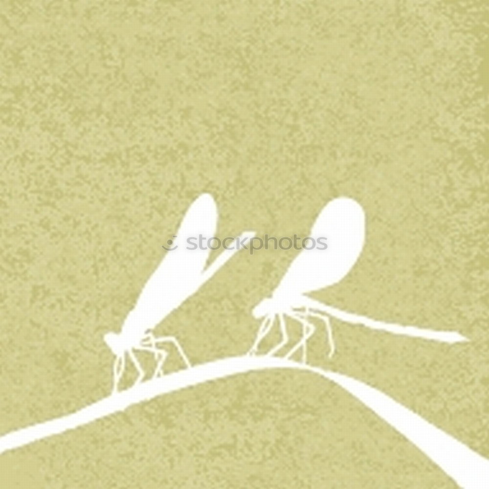 Similar – Image, Stock Photo birds flying high Art