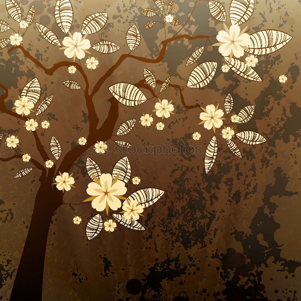 Similar – Tree blossoms on rustic background , Frame