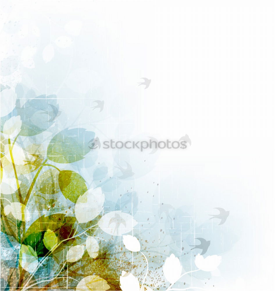 Similar – Image, Stock Photo Jump! Nature Plant Spring