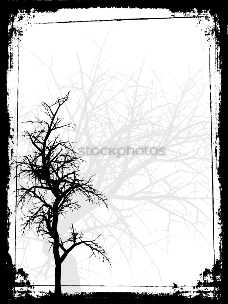 Similar – lonely Baum Natur Feld