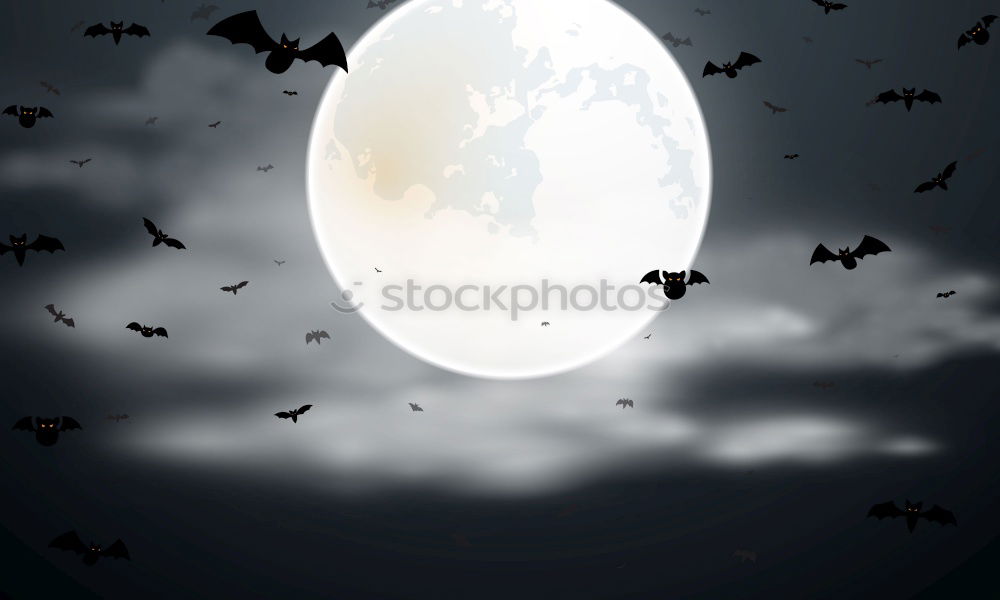 Similar – Image, Stock Photo Bremen night shift Crow