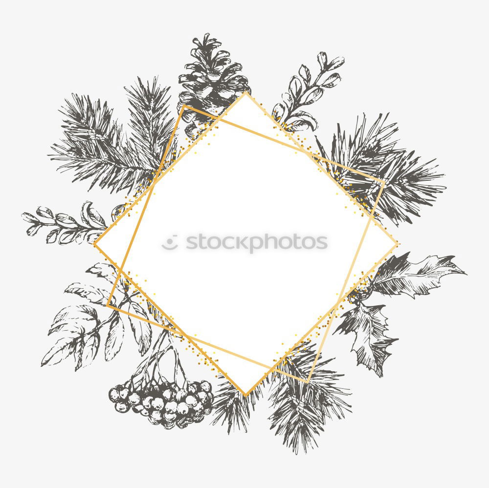 Similar – Watercolor Bohemian golden frame with dried leaves and tropical flowers illustration