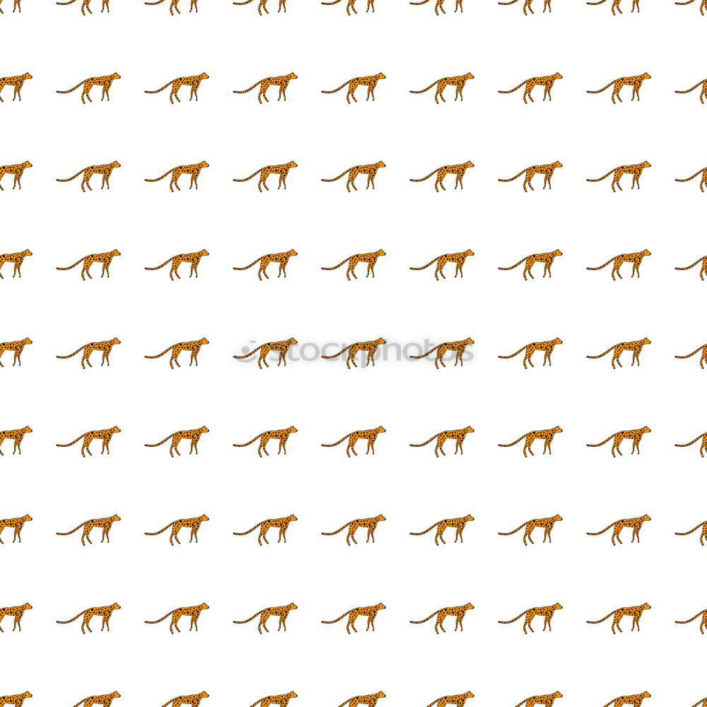 Similar – Image, Stock Photo Camel repeated figures