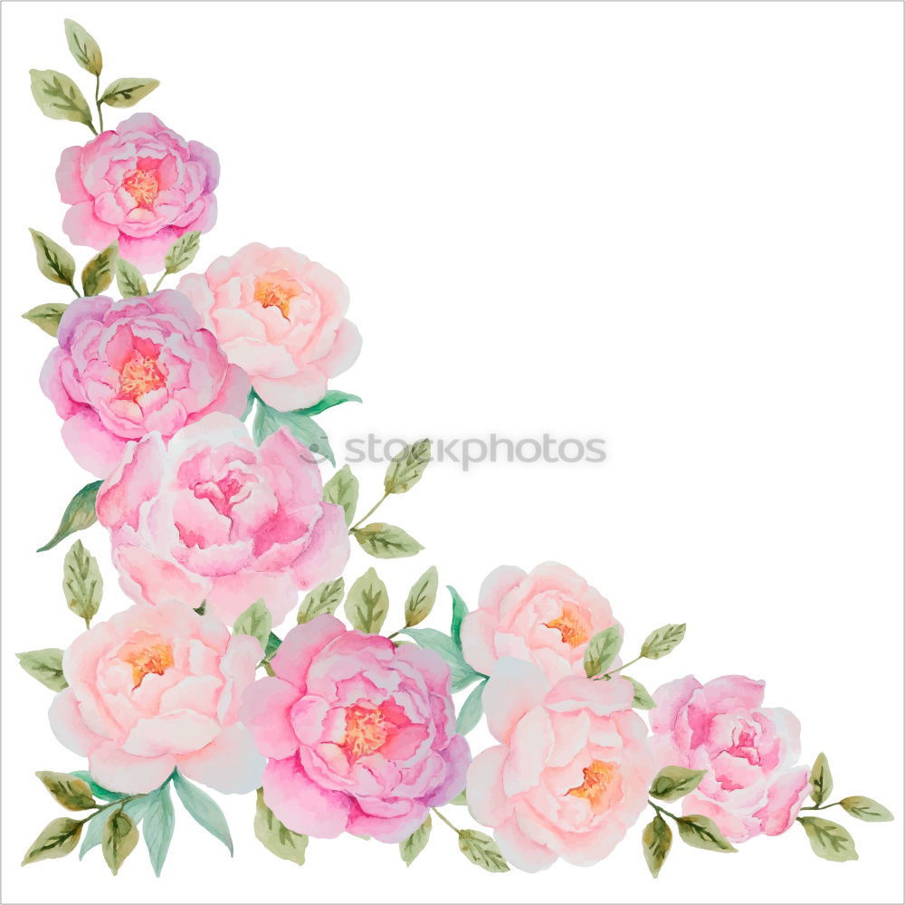 Similar – Image, Stock Photo Frame of pale pink flowers