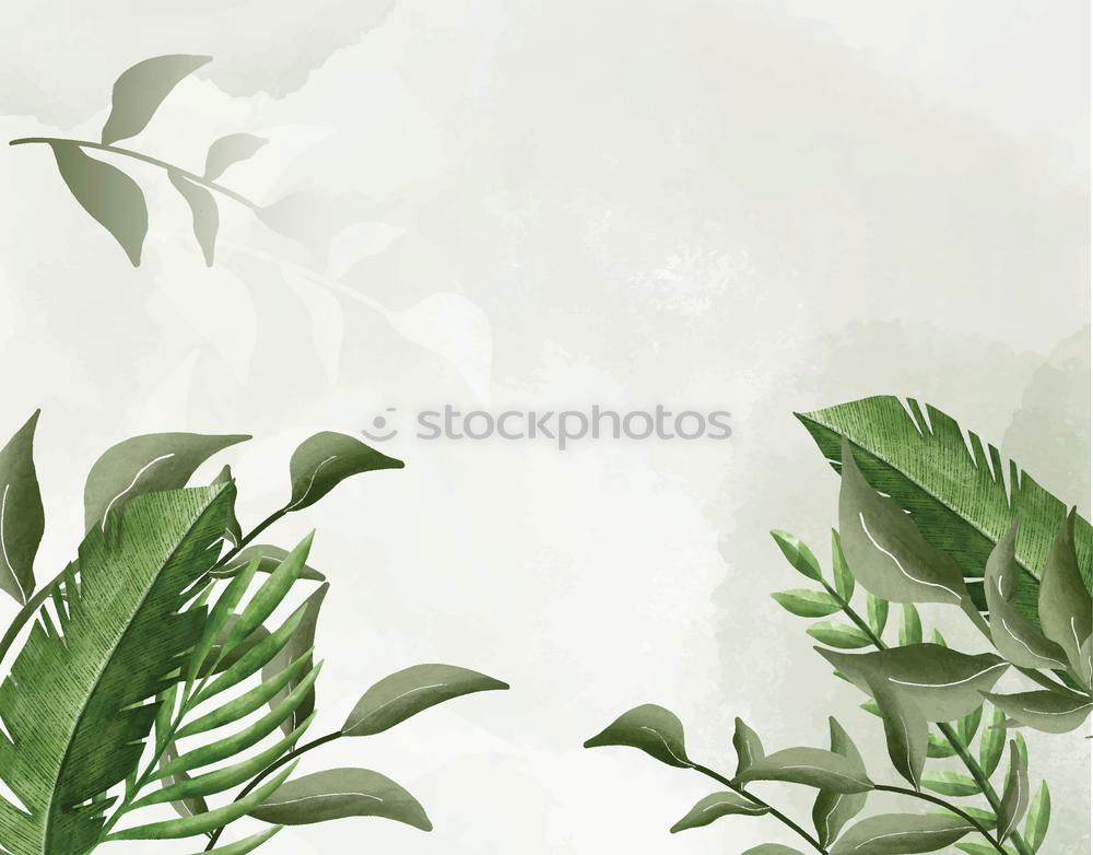 Similar – Image, Stock Photo Creative layout made of green leaves