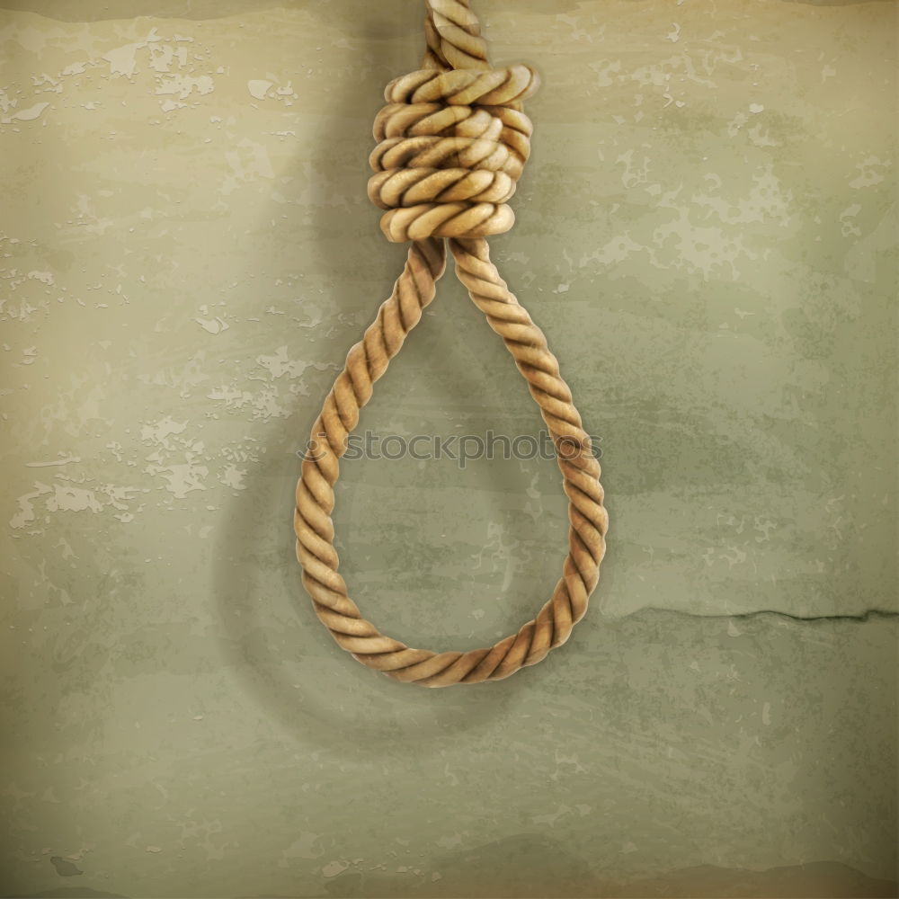 Similar – rope Rope noose Loop Tree