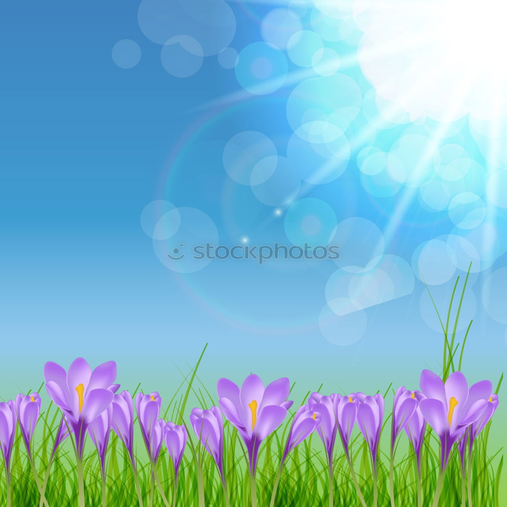 Similar – grass Nature Spring Grass