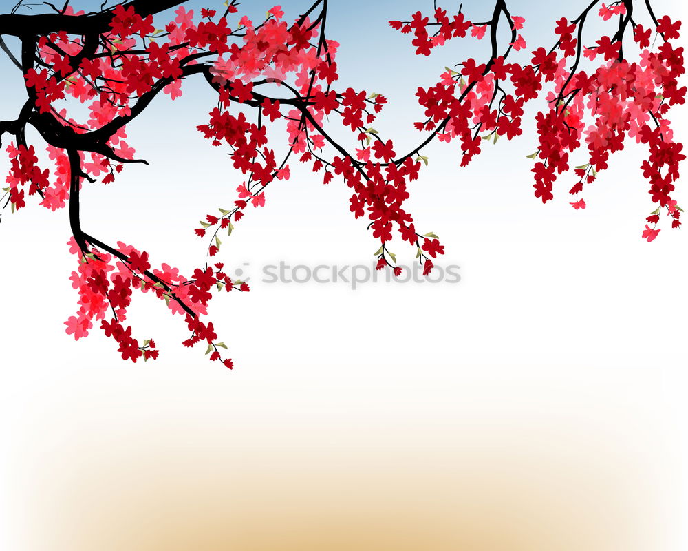 Image, Stock Photo blood red Environment