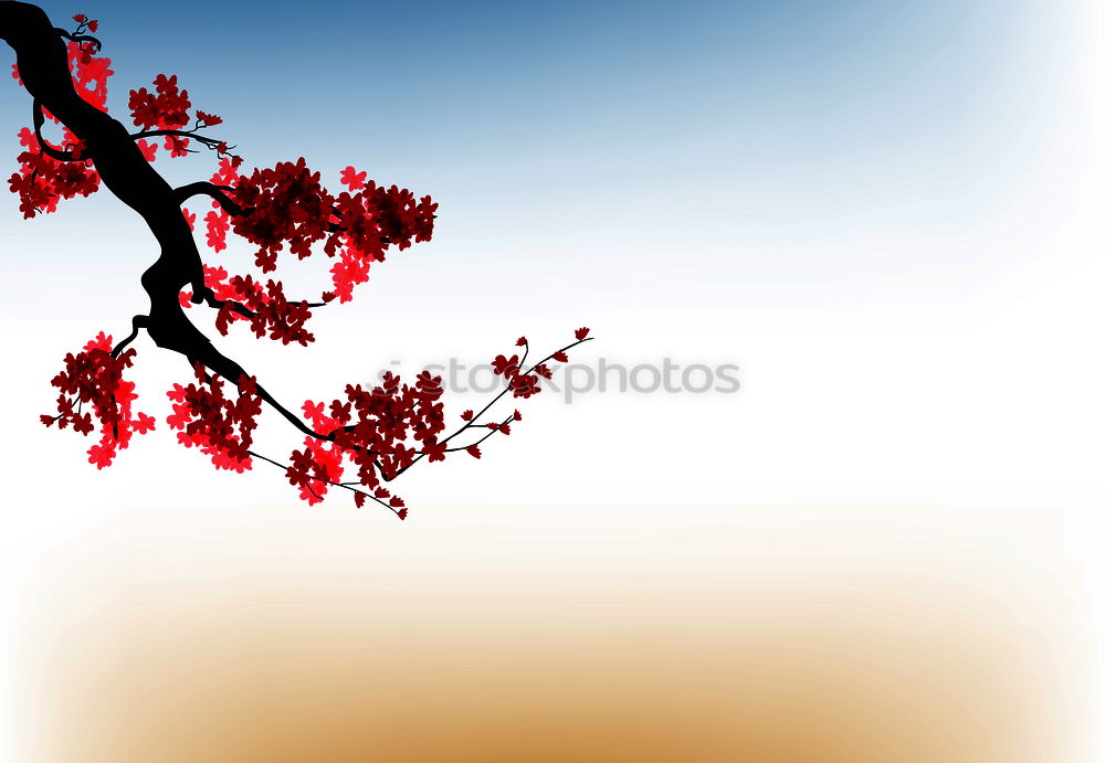 Similar – Image, Stock Photo blood red Environment