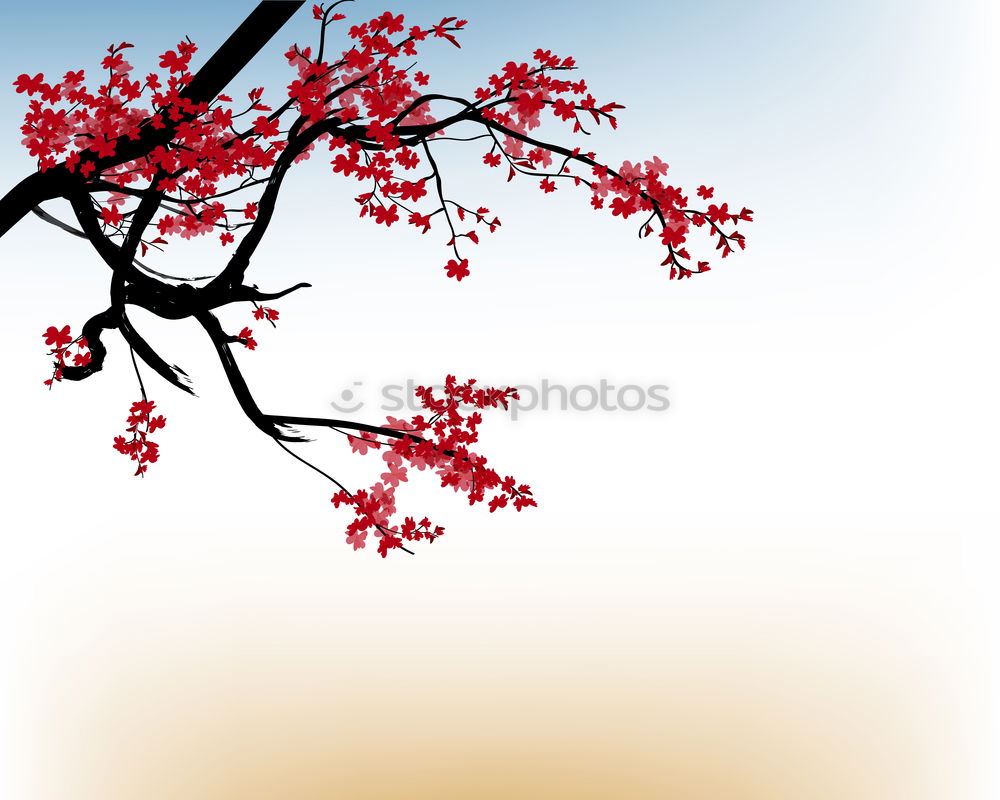 Similar – Image, Stock Photo blood red Environment