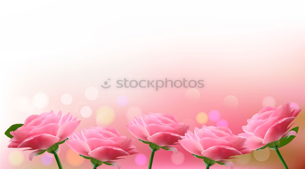 Similar – Image, Stock Photo tulipa Senses Mother’s Day