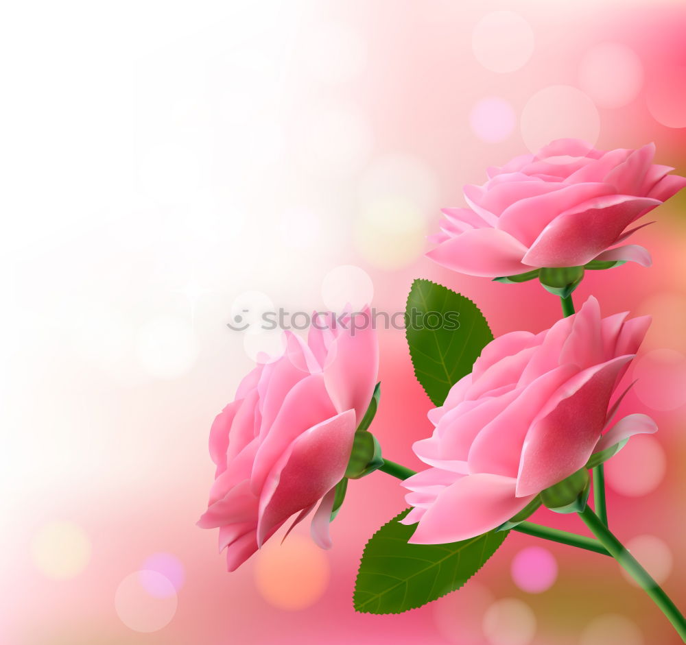 Similar – Image, Stock Photo Mother’s Day Flower Credit