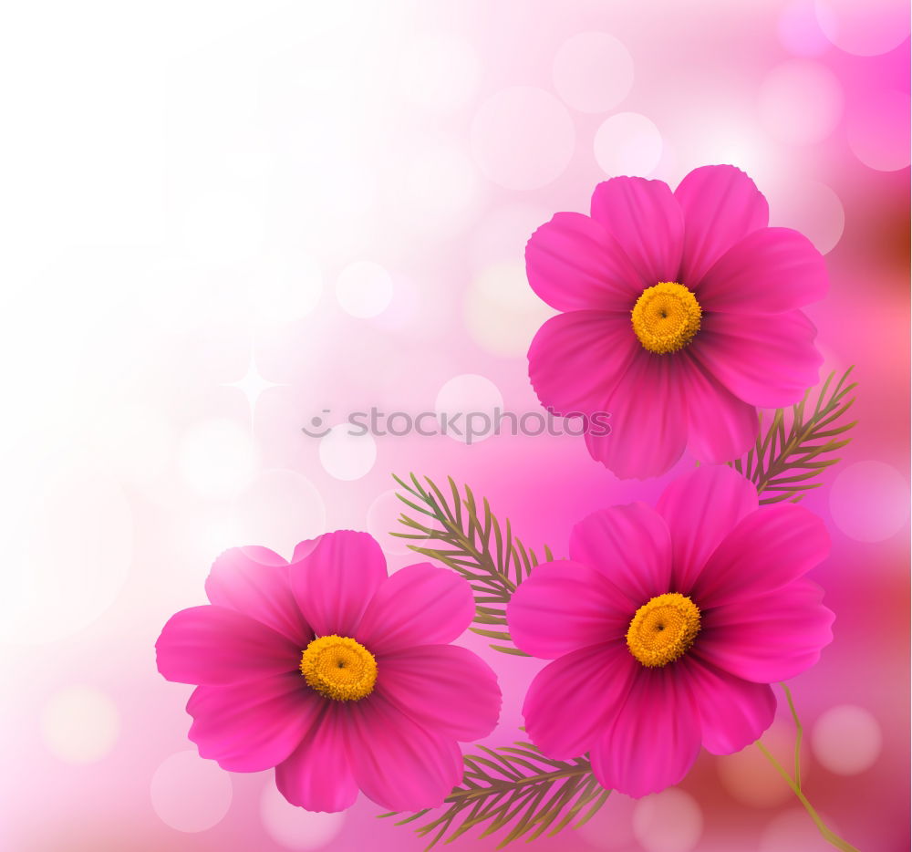 Similar – Image, Stock Photo Mother’s Day Flower Credit