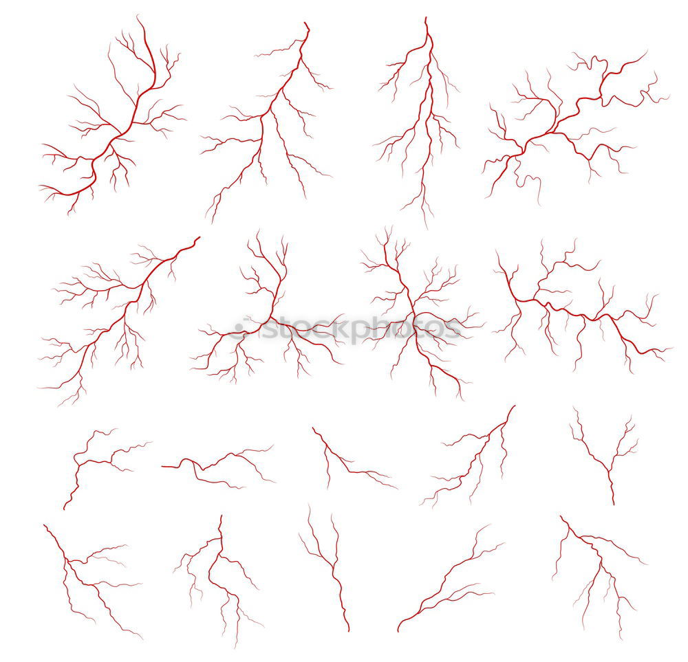 Similar – Geäst verzweigt Baum