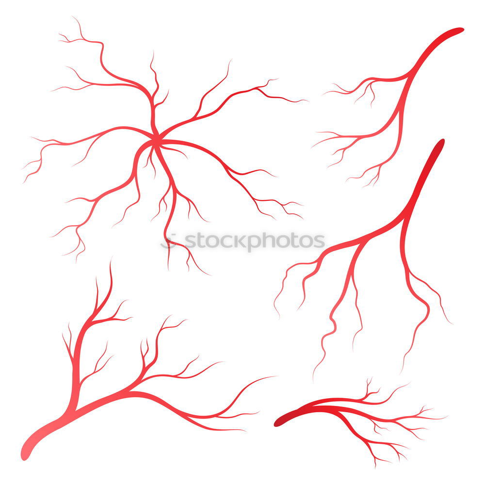 Similar – Geäst verzweigt Baum