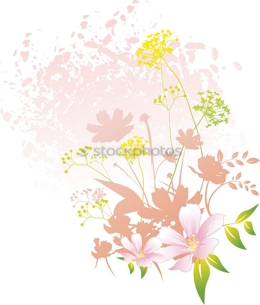 Similar – White flowers on light blue background with green leaves and bokeh. Abstract floral background. Spring nature