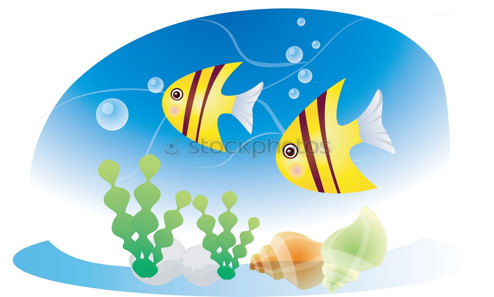 Similar – Shining fish Zoo Fish 1