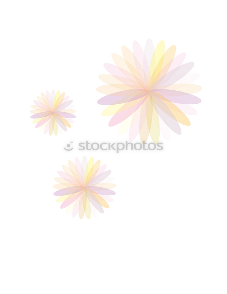 Similar – Image, Stock Photo Fairy Tale | Snow White and Rose Red
